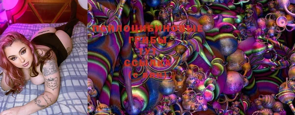 jwh Вуктыл