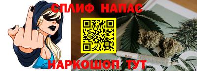 прущие грибы Азнакаево