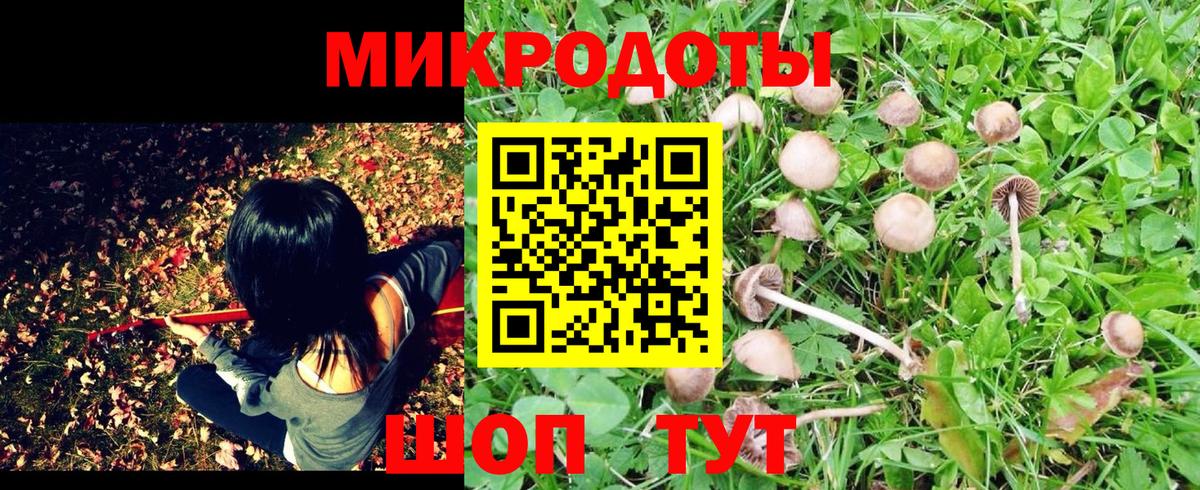 закладки  Вход с VPN  Майкоп  Псилоцибиновые грибы Psilocybine cubensis 